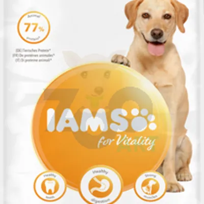 IAMS-Sucha karma for Vitality dla dorosłych psów ras dużych  ze świeżym kurczakiem 12kg