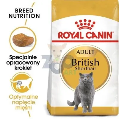 ROYAL CANIN British Shorthair 10kg karma sucha dla kotów dorosłych rasy brytyjski krótkowłosy