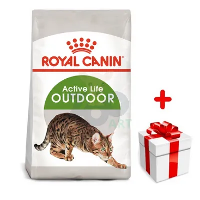 ROYAL CANIN  Outdoor 30 4kg karma sucha dla kotów dorosłych, wychodzących na zewnątrz + niespodzianka dla kota GRATIS