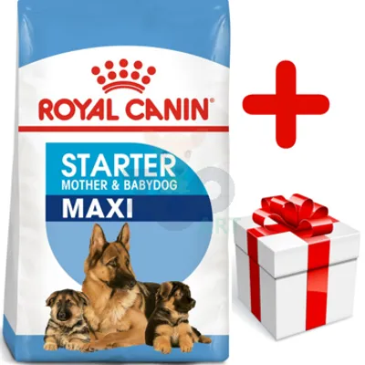 ROYAL CANIN Maxi Starter Mother&Babydog 15kg   + niespodzianka dla psa GRATIS!