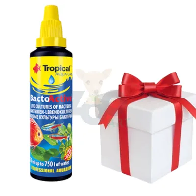 TROPICAL Bacto-Active 30ml + próbka karmy dla rybek Tropical