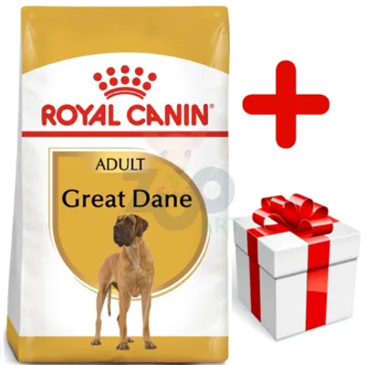 ROYAL CANIN Great Dane Adult 12kg  + niespodzianka dla psa GRATIS!