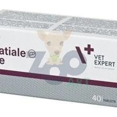 Hepatiale Forte 40 tab.