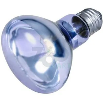 TRIXIE Punktowa lampa grzewcza neodymowa 75 W