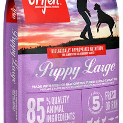 ORIJEN Puppy Large 6kg