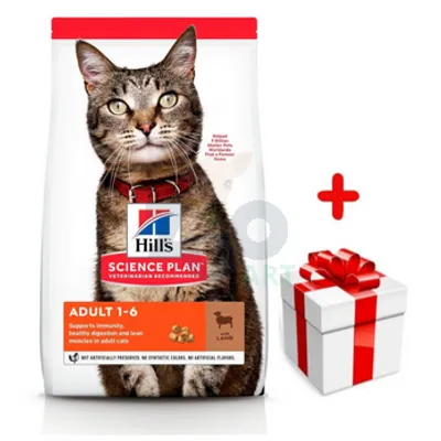 HILL'S SP Science Plan Feline Adult Jagnięcina 10kg + niespodzianka dla kota GRATIS!