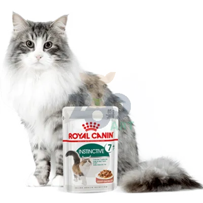 ROYAL CANIN  Instinctive +7 12x85g w sosie karma mokra dla kotów starszych, wybrednych