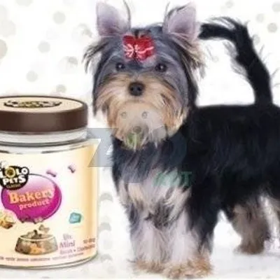 LOLO PETS ciasteczka trenerki Mini Mix 300g