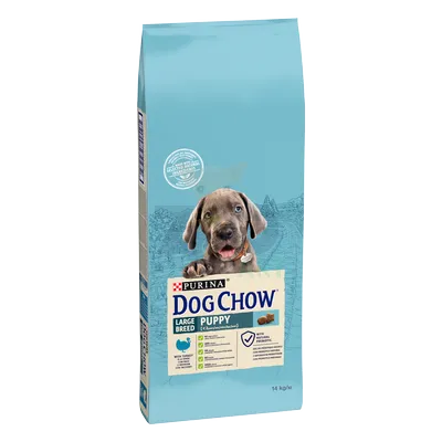 PURINA Dog Chow Puppy Large Breed Turkey 14kg