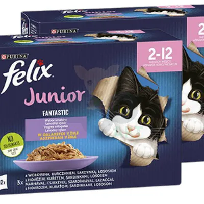 FELIX Fantastic Junior w galaretce;24x85g