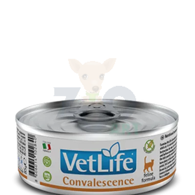 Farmina Vet Life Convalescence Cat 85g