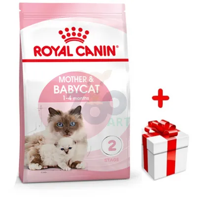 ROYAL CANIN  Mother&Babycat 4kg karma sucha dla kotek w okresie ciąży, laktacji i kociąt od 1 do 4 miesiąca życia + niespodzianka dla kota GRATIS!