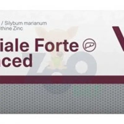 VETEXPERT Hepatiale Forte Advanced 30 tab