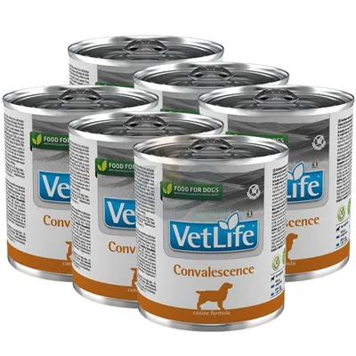 Farmina Vet Life Convalescence Dog 6x300g