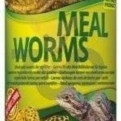 TROPICAL Meal Worms 100ml