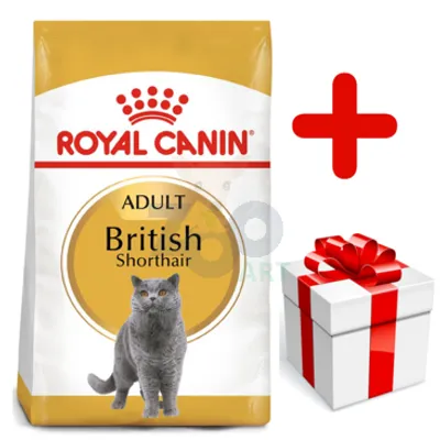 ROYAL CANIN British Shorthair 10kg + niespodzianka dla kota GRATIS!