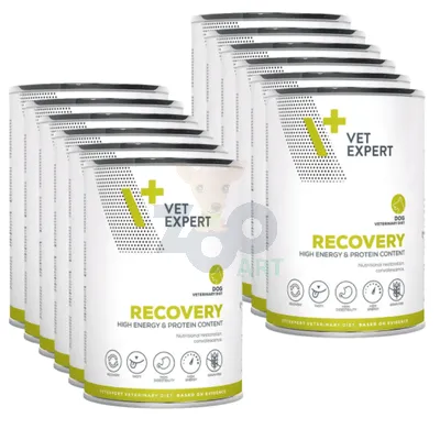 4T Veterinary Diet Recovery 12x400g