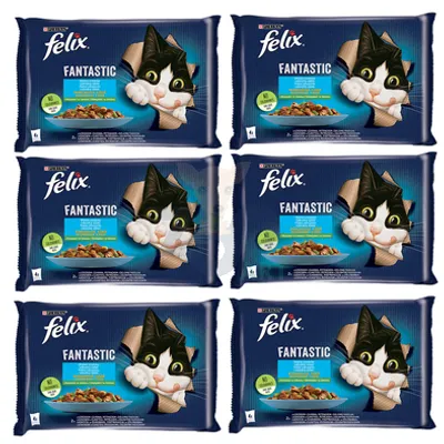 FELIX Fantastic Wiejskie Smaki w galaretce z łososiem i pstrągiem  12x(4x85g)