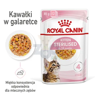 ROYAL CANIN Kitten Sterilised 12x85g karma mokra w galaretce dla kociąt do 12 miesiąca życia, sterylizowanych