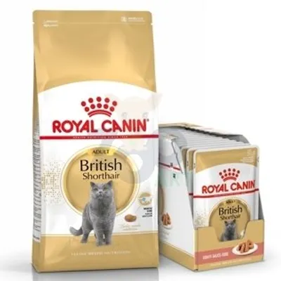 ROYAL CANIN British Shorthair Adult 34 4kg + saszetka British Adult 12x85g (Sos)