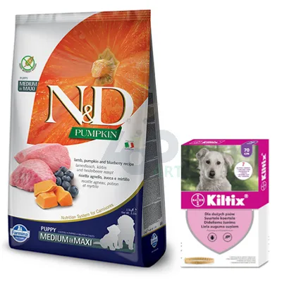 Farmina N&D Pumpkin Grain Free canine LAMB & BLUEBERRY PUPPY MEDIUM & MAXI 12kg + BAYER Kiltix Obroża dla psów dużych dł, 70cm