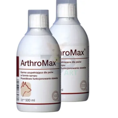 Arthromax 2x500ml