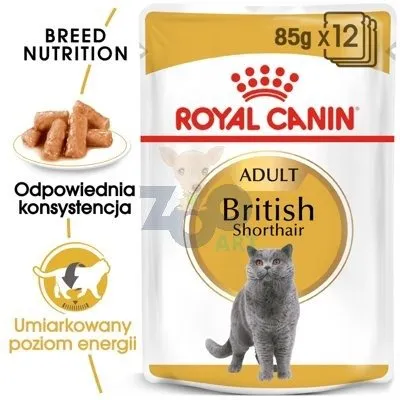 ROYAL CANIN British Shorthair Adult saszetka 12x85g (Sos) karma mokra w sosie dla kotów dorosłych rasy brytyjski krótkowłosy