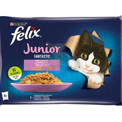 FELIX Fantastic Junior w galaretce z kurczakiem i łososiem 4x85g