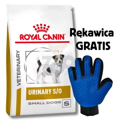 ROYAL CANIN Urinary S/O USD 20 Small Dog 8kg + Rękawica do czesania GRATIS!