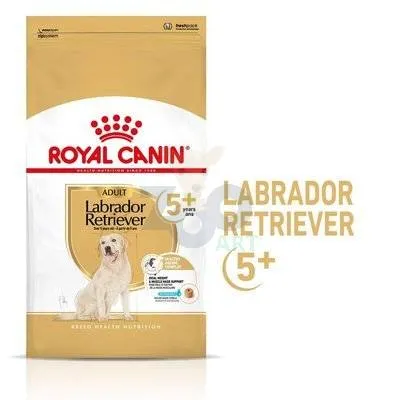 ROYAL CANIN Labrador Retriever Adult 12kg | Darmowa dostawa