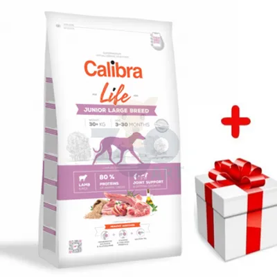 Calibra Dog Life Junior Large Breed Lamb 12 kg + Niespodzianka dla psa GRATIS