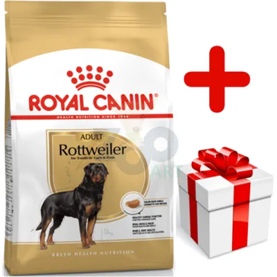 ROYAL CANIN Rottweiler Adult 12kg karma sucha dla psów dorosłych rasy rottweiler  + niespodzianka dla psa GRATIS!