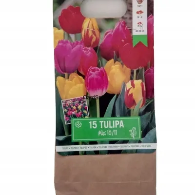 TULIPANY 15 SZT MIX CEBULEK WIELOKOLOROWE SUPER 11