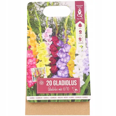 Cebulki kwiatowe Gladiole Mieczyki 20 sztuk mix